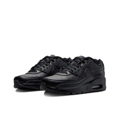 Air Max 90 LTR (GS)