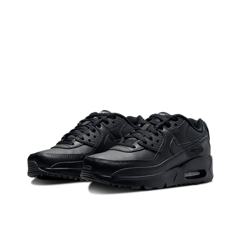 Air Max 90 LTR (GS)