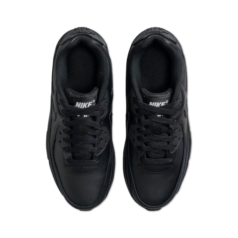 Air Max 90 LTR (GS)