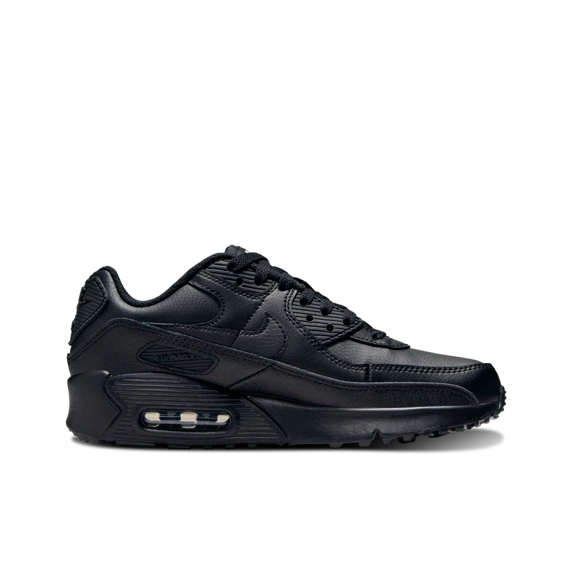 Air Max 90 LTR (GS)